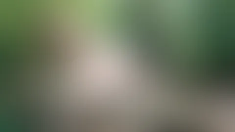 Haltet die Augen offen im Wald, da gibt‘s so viel schönes zu entdecken! 😘