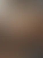 P***y đ„”