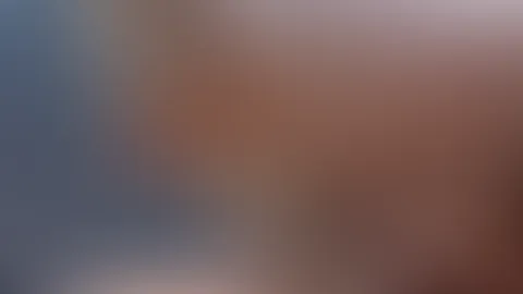 Fanbeschreibung nachgehen