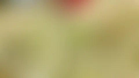 Letztes Jahr sommer war es so schön 😅😅