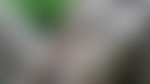 Spaß im Wald alleine