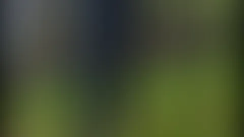 Schnell mal p**sen am Wegrand đŠ