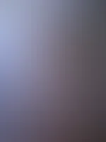 Na komm und plündere mein Nest und sie was zum Vorschein kommt!