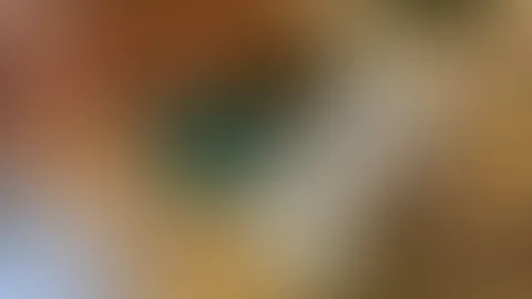 Was dich bei mir erwartet?