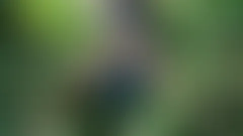 Draußen wird es warm und was kann da getan werden? Ausziehen!... sieh mir zu!
