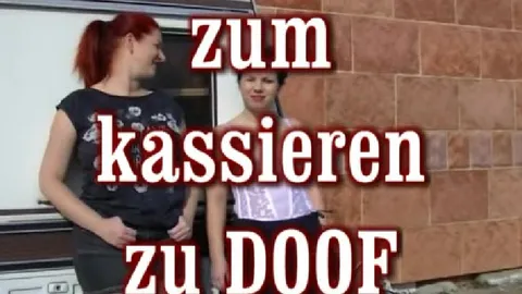 zum kassieren zu doof