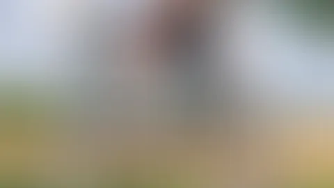 Einen wunderschönen guten Morgen