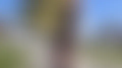 Zieh mich aus
