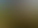 Mein Tag im Rapsfeld📸🤤