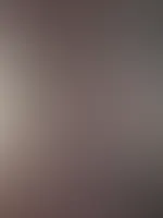 Quickshot