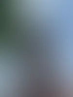 Mit guten Aussichtenđ„° mit vollgas dem Wochenende entgegen! Die halbe Woche ist schon geschafft đâ€ïž