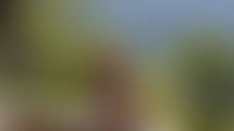 😍😍