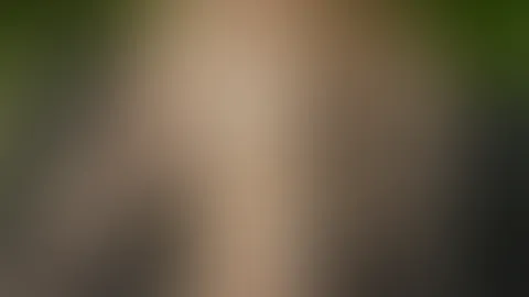 Ich halte nur Ausschau nach dir 👀