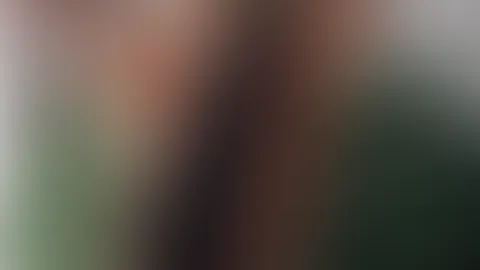 War Weihnachten