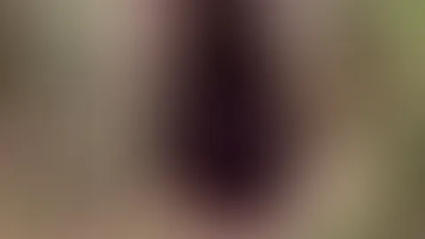 My naked walk through the forest.
