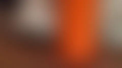 Bitte bitte....đ