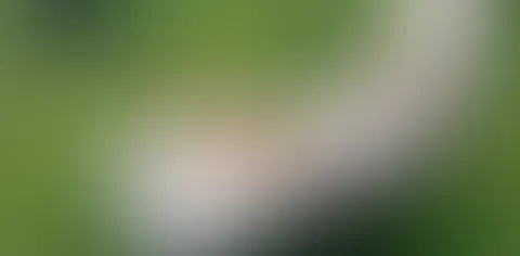 relaxen im garten und geil gefingert