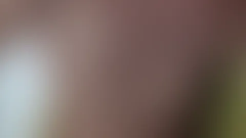 đŠđ
