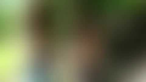 Bringt er mich zum kommen?