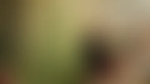 Ein schönes Weihnachtsfest und einen lieben Weihnachtsgruß🎄🤶 Ein Augenblick zum Innehalten, zum Dankbar sein, zum Stillverstehen, für all das Gute das wir zusammen haben💞🙏 Rosella wünscht Euch f