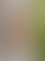 🤫