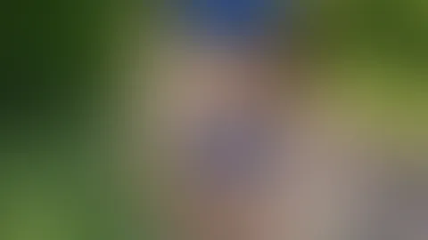 Bitte fans