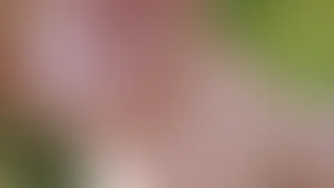 ❤️😋