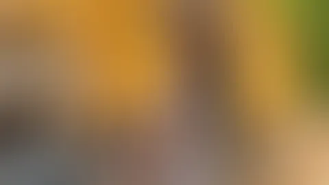 Meinst du ich wurde erwischt vom Chef  ? 😉