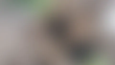 Bisschen Entspannung bei der Hitze🥵