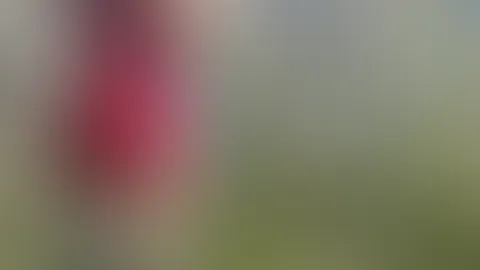 B****n ist schön