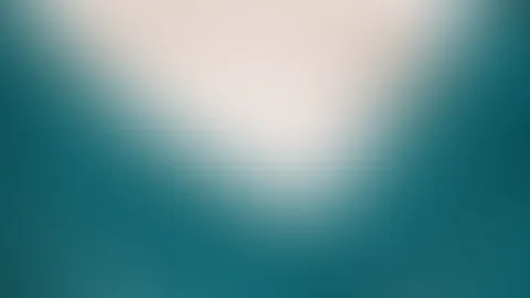 🦚