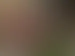 Geile Outdoor nudes