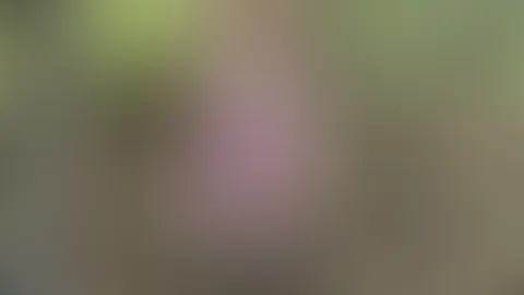 Im Wald Nackig