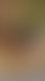 was für ein harte Morgen