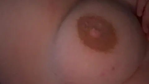 Boobies