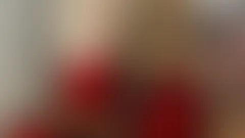 Frohe Weihnachten 🎄