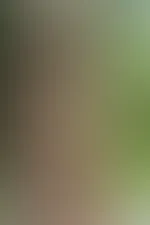 Made you pause, didnât I? đđŹ