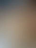 đ