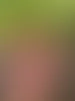 Also ich finde, ich war total passend gekleidet fĂŒr einen Spaziergang im Wald! Oder etwa nicht? đ