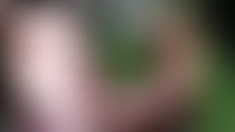 Loads of sperm in the wild
