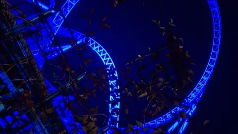 Fotos aus dem Europaparkhotel
