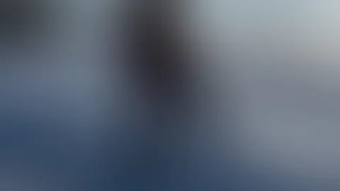 Ich habe den letzten Tag im Schnee nochmal richtig ausgenutzt bevor er anfängt zu schmelzen!