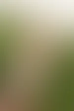 es ist doch so schön, wenn es warm ist!