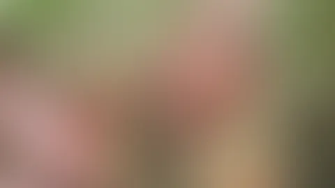 Blonde S******e gibt Outdoor Blowjob mit Facial :) Im Sommer lande ich viel zu oft auf den Knien! :P