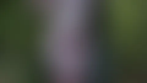 Na ihr was meint ihr, Schaffen wir es heute zum 30.03. die 800 Follwer zu Knacken 🤭🙈? Das wäre ein wundervolles Geburtstags Geschenk 🤭auch wenn ich nicht so der Mensch für solche Events bin weil's