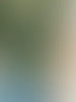 Ich liebe Spitzenbodys… und du?