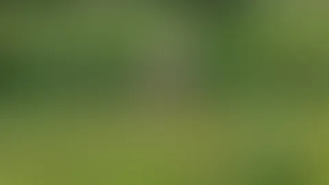 Dienstagnachmittag im Grünen... 🌿🔥