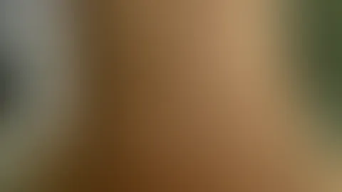 Wir haben uns der puren lust leiten lassen