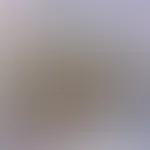 New🔞 W***sanweisung Video mit P×××××s