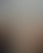 P***y with a View 😜